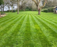 well cut lawn with mower stripes