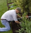 Man kneeling on grass edge weeding garden