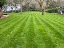 Well cut lawn with mover stripes